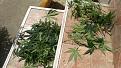 Click image for larger version

Name:	IMG_20200725_135745.jpg
Views:	178
Size:	2.25 MB
ID:	431610