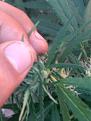 Click image for larger version

Name:	IMG_20200822_185711.jpg
Views:	2852
Size:	1.49 MB
ID:	439262