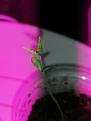 Click image for larger version

Name:	IMG_20200902_103039.jpg
Views:	339
Size:	1.09 MB
ID:	443365
