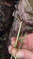 Click image for larger version

Name:	IMG_20200908_175500706.jpg
Views:	275
Size:	1.24 MB
ID:	448112