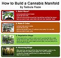 Click image for larger version

Name:	how-to-build-cannabis-manifold-nebula-sm.jpg
Views:	416
Size:	123.9 KB
ID:	448685