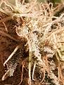 Click image for larger version

Name:	20201126_185647.jpg
Views:	244
Size:	1.47 MB
ID:	469823