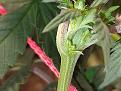 Click image for larger version

Name:	IMG_20210104_192427495.jpg
Views:	288
Size:	2.06 MB
ID:	479277