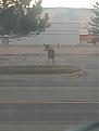 Click image for larger version

Name:	IMG_20201122_071406290.jpg
Views:	232
Size:	969.8 KB
ID:	488993