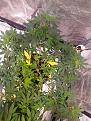Click image for larger version

Name:	20210217_005346.jpg
Views:	192
Size:	3.97 MB
ID:	491100