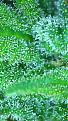 2021_04_16_14_57_11_326.png