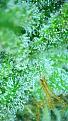 2021_04_16_15_02_57_293.png