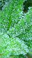 2021_04_16_15_09_48_607.png