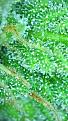 2021_04_16_15_29_09_498.png
