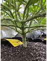 Click image for larger version

Name:	green crack1.jpg
Views:	781
Size:	654.2 KB
ID:	511103