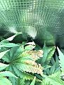 Click image for larger version

Name:	IMG_6126.jpeg
Views:	212
Size:	3.24 MB
ID:	513846