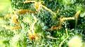 06555065-208E-4687-9848-17A6BAD816A0.jpeg
