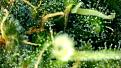 DBE38AA5-31BE-4AD1-AD84-3A06A771857E.jpeg