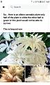 Click image for larger version

Name:	Screenshot_20210516-142052_Gallery.jpg
Views:	614
Size:	353.2 KB
ID:	515441