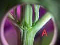 Click image for larger version

Name:	IMG_4098.jpeg
Views:	248
Size:	2.10 MB
ID:	535375