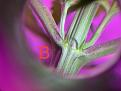 Click image for larger version

Name:	IMG_4099.jpeg
Views:	244
Size:	2.54 MB
ID:	535377