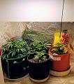 9-14Closet.jpg