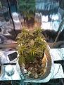 Click image for larger version

Name:	IMG_20210922_121902596.jpg
Views:	234
Size:	2.30 MB
ID:	538160