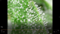 Click image for larger version

Name:	big1.png
Views:	159
Size:	1.71 MB
ID:	541168