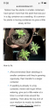 Click image for larger version

Name:	20EA6631-1752-4BB6-87F3-3751A53285D9.png
Views:	263
Size:	1.08 MB
ID:	542441