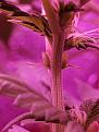 Click image for larger version

Name:	20211025_145857.jpg
Views:	188
Size:	1.26 MB
ID:	544319