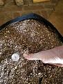 20220103_110224.jpg