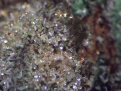 20220122_17_09_11.png