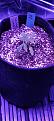 Click image for larger version

Name:	20220211_174129.jpg
Views:	297
Size:	1.81 MB
ID:	556779