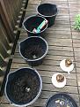 Click image for larger version

Name:	01_buckets_with_stones.JPG
Views:	263
Size:	206.5 KB
ID:	566719