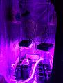 Click image for larger version

Name:	IMG_20220814_155704_983.jpg
Views:	318
Size:	2.74 MB
ID:	573702