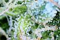 Click image for larger version

Name:	Photo on 9-19-22 at 3.11 PM.jpg
Views:	342
Size:	338.6 KB
ID:	576753