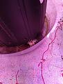 Click image for larger version

Name:	roots.jpg
Views:	340
Size:	2.81 MB
ID:	577316