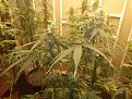 Click image for larger version

Name:	IMG_20221002_090330.jpg
Views:	313
Size:	3.46 MB
ID:	577636