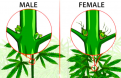 Click image for larger version

Name:	1bd093eb9677ec41c17b41d2f17684a9 (1).png
Views:	264
Size:	297.1 KB
ID:	596925