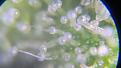 Click image for larger version

Name:	IMG_20240312_184349878_AE.jpg
Views:	217
Size:	1.27 MB
ID:	616883
