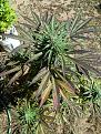 Click image for larger version

Name:	IMG_20240925_150235330.jpg
Views:	140
Size:	4.41 MB
ID:	632233