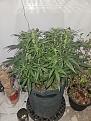 20250309_154636.jpg