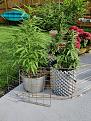 Click image for larger version

Name:	IMG_20250808_174826.jpg
Views:	49
Size:	2.60 MB
ID:	654174
