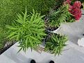 Click image for larger version

Name:	IMG_20250808_175024.jpg
Views:	42
Size:	7.80 MB
ID:	654178