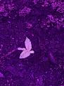 Click image for larger version

Name:	IMG_0846.JPG
Views:	147
Size:	2.34 MB
ID:	6922