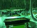 Click image for larger version

Name:	IMG_1341.JPG
Views:	150
Size:	6.31 MB
ID:	73550