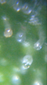Click image for larger version

Name:	IMG_5686.PNG
Views:	144
Size:	678.8 KB
ID:	78727