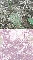 Click image for larger version

Name:	20170521_121814.jpg
Views:	189
Size:	1.94 MB
ID:	96203