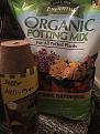 potting mix