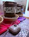 This shows the air pump and line...bet you hydro folks have seen these pumps before. Dishes and risers to support the planters.