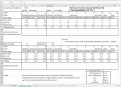 Preview of spreadsheet for viewing