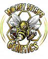 Honeysticks Genetics logo