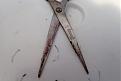 Stained my scissors purple