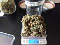 "Blueberry Cough" weighed in at 25.6 grams.