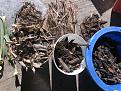 left to right.. bamboo leaf mulch from the forest. in the middle os broken down bamboo. and in the blue bucket i broke off piece of decayed wood from a log in the forest and mixed it with bio char.